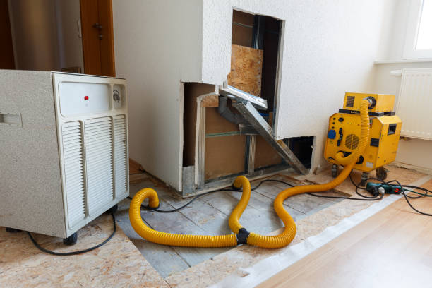 Mold Removal for HVAC Installations in Upland, PA
